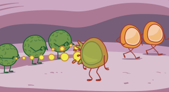 Immune system graphic