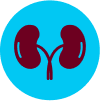BTC Kidney Icon