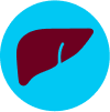 BTC Liver Icon
