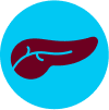 BTC Pancreas Icon