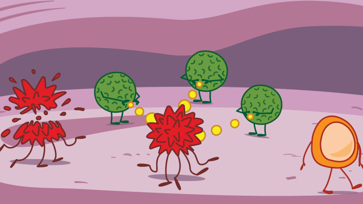Role of Immune System Illustration