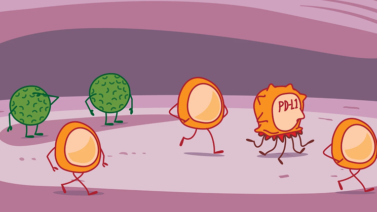 Role of PD-L1 Illustration