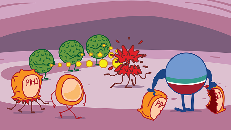 Role of IMFINZI on Healthy Cells Illustration