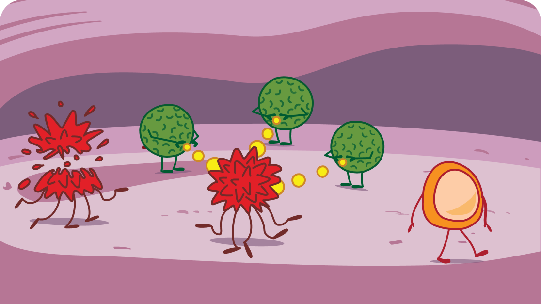 Mechanism of Immune System Illustration