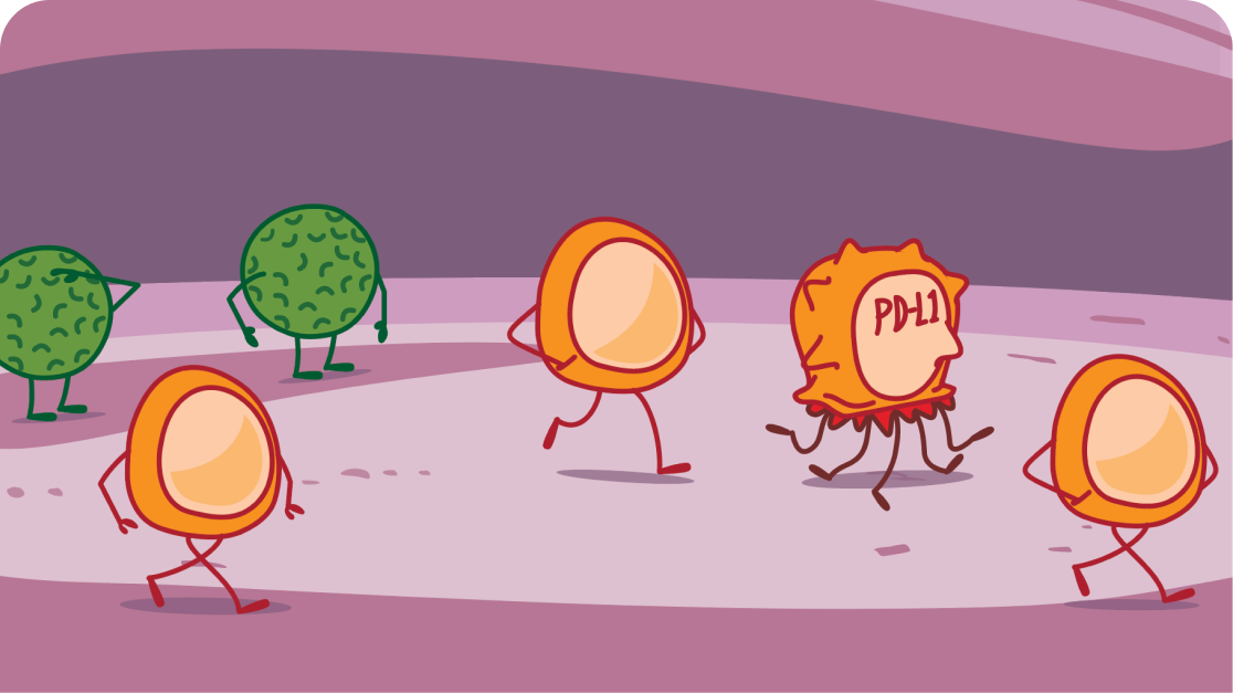 Cancer Cells PD-L1 Protein Process Illustration