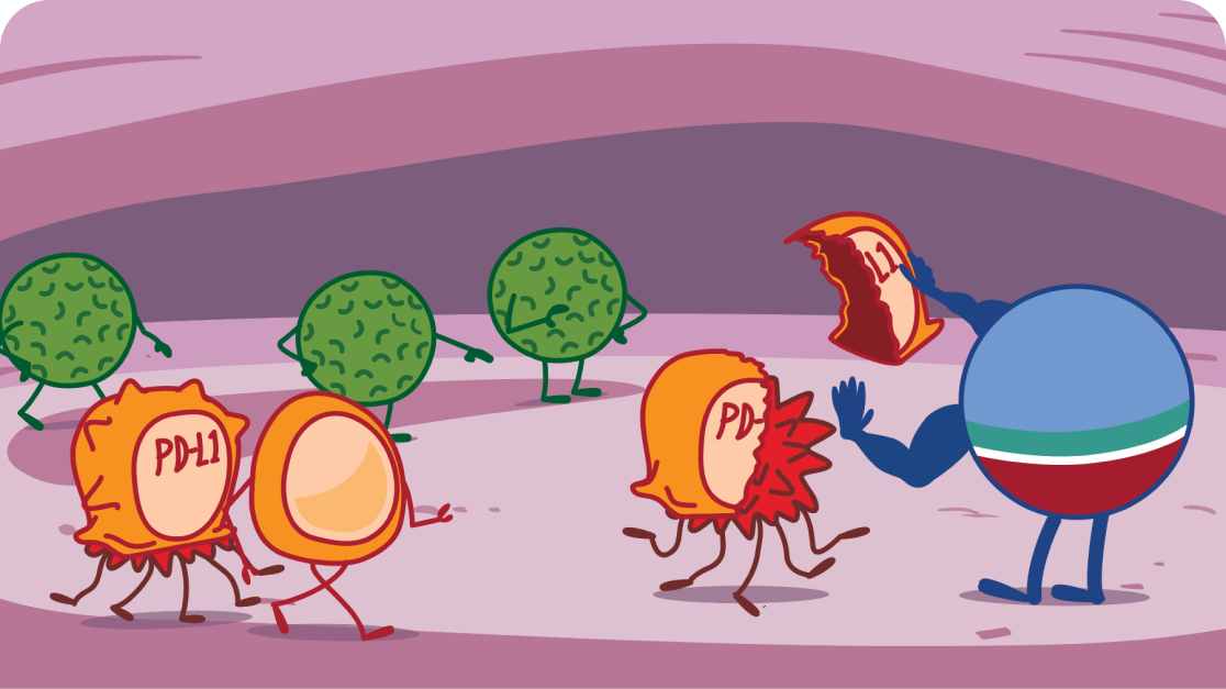 IMFINZI Blocking Cancer Cells Process Illustration