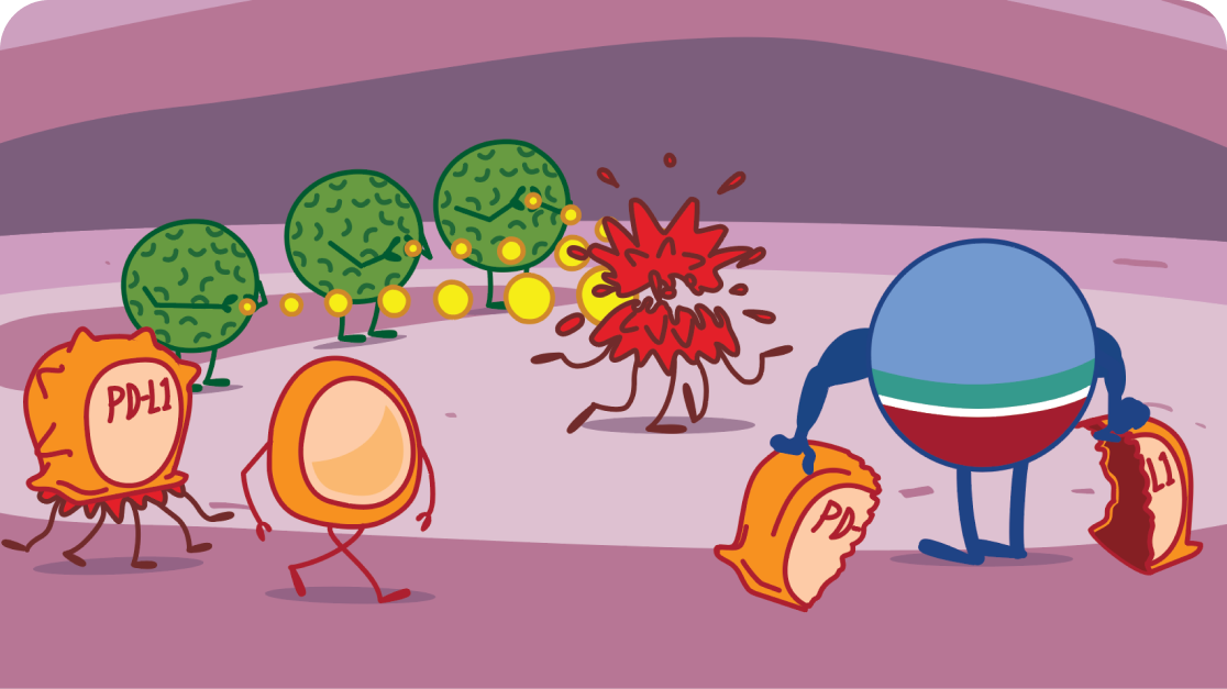 IMFINZI Treatment Illustration