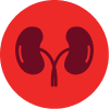 Stage 3 NSCLC Kidney Icon