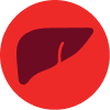 Stage 3 NSCLC Liver Icon
