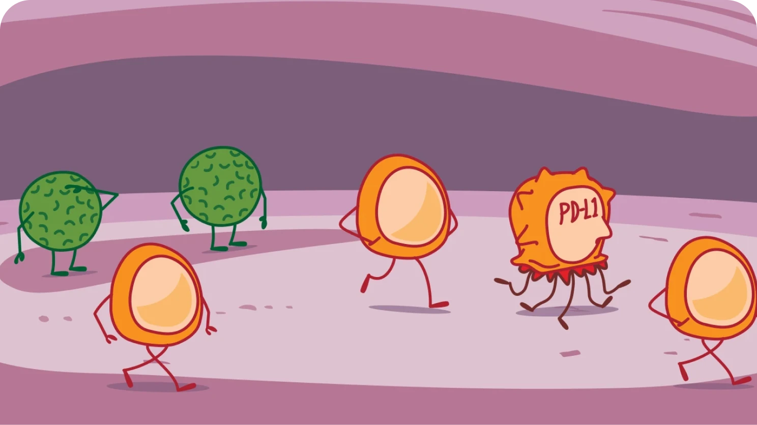Role of PD-L1 Illustration