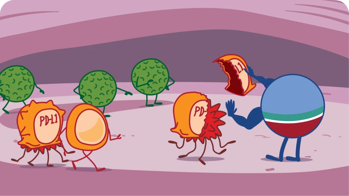 Role of IMFINZI on PD-L1 Illustration