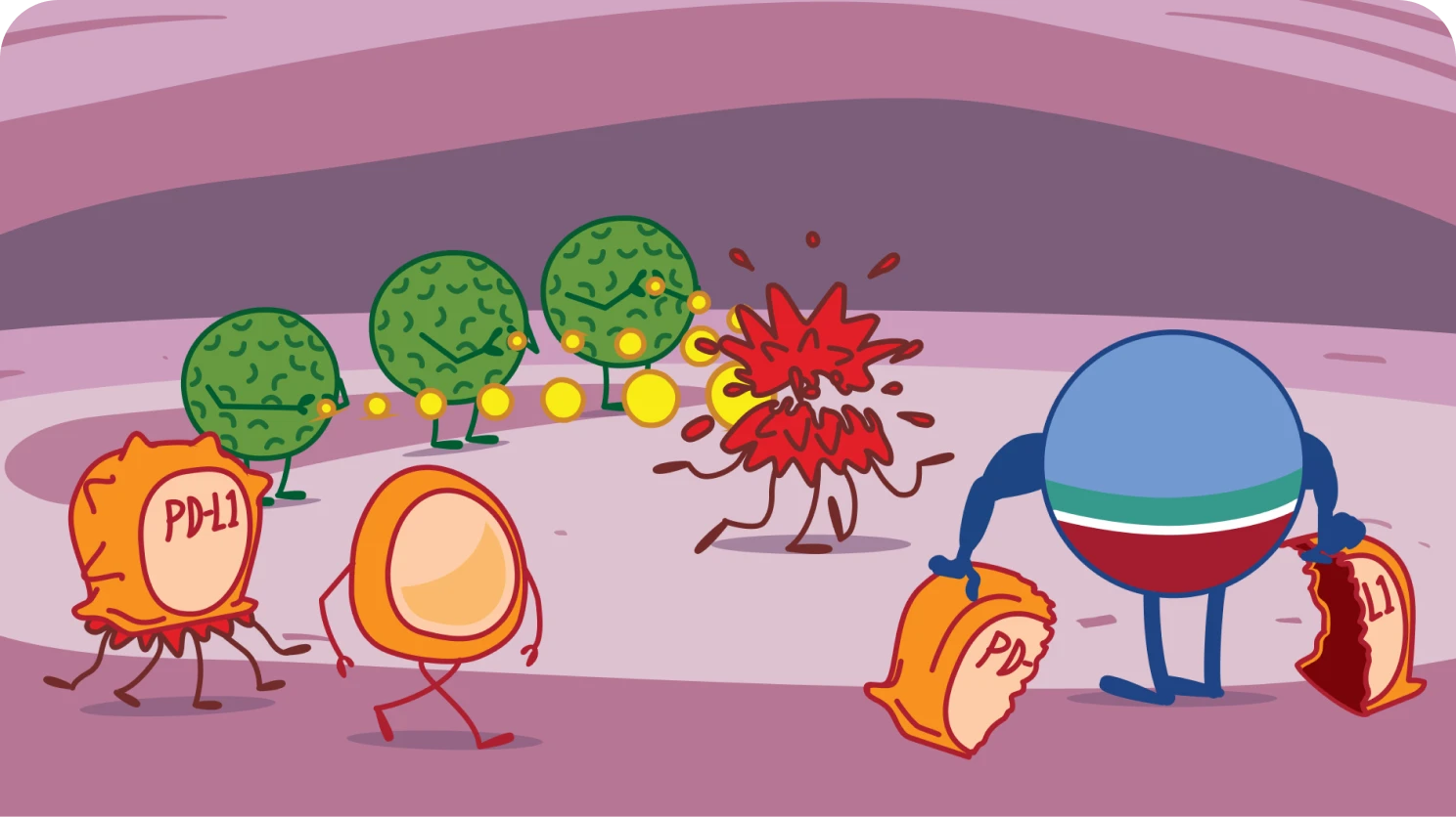 Role of IMFINZI on Healthy Cells Illustration