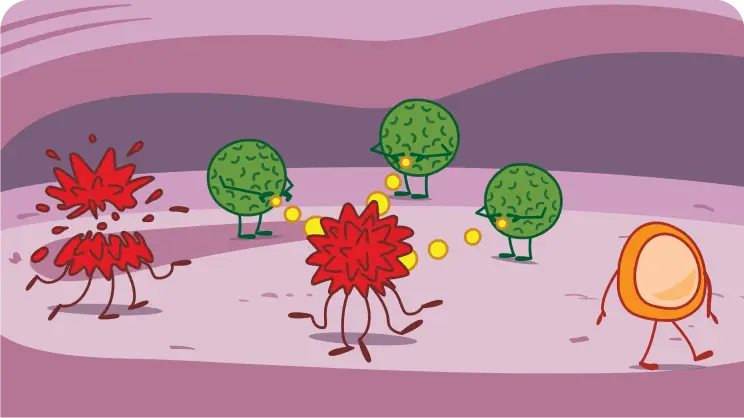 Role of Immune System Illustration