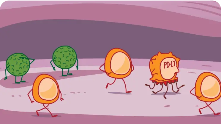 Role of PD-L1 Illustration