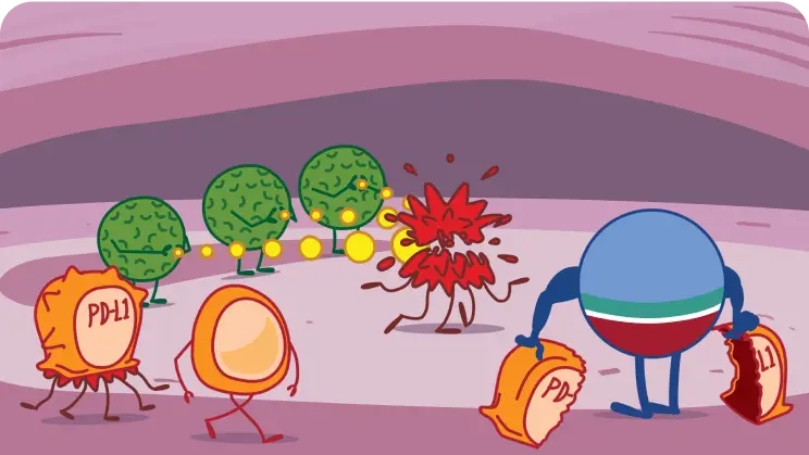 Role of IMFINZI on Healthy Cells Illustration