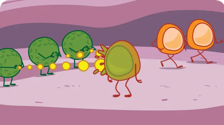 Role of Immune System with Fight Cancer Cells Illustration