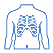 Chest Wall Icon