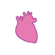 Heart Icon