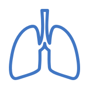 Lungs Icon
