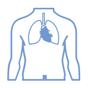 Chest Icon
