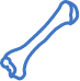 Bones icon