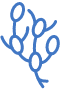Lymph nodes icon