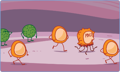 PD-L1 disguises cancer cells from your immune system to look healthy