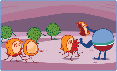 IMFINZI works by blocking PD-L1 to remove the disguise