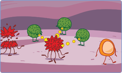 Immune system identifying and attacking cancer cells