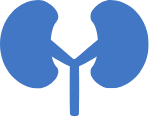 Kidney Problems Icon