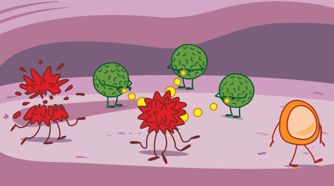 Mechanism of Immune System Illustration