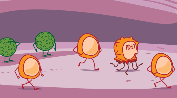Cancer Cells PD-L1 Protein Process Illustration