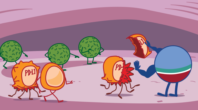 IMFINZI Blocking Cancer Cells Process Illustration
