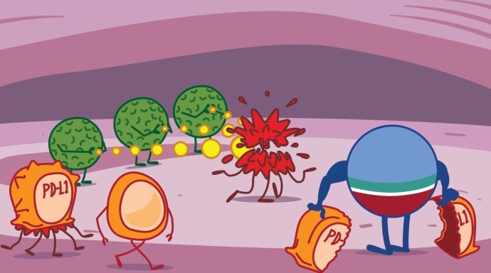 IMFINZI Treatment Illustration
