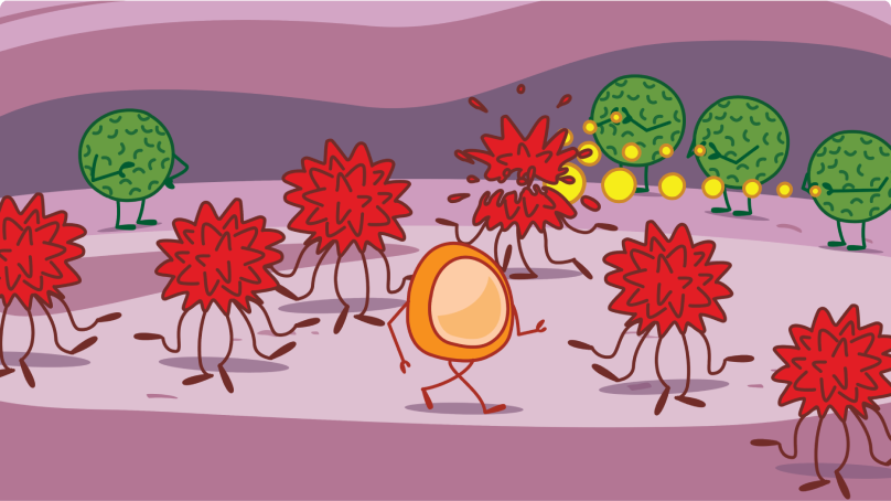 IMFINZI and IMJUDO with Immune System Works to Fight Cancer Cells Illustration